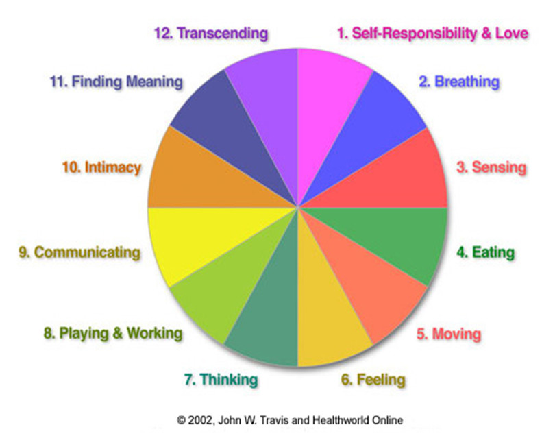 Responsibility Pie Chart Cbt